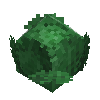 Grid cabbage.png