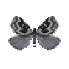 File:Butterfly-dead-sagebrushgirdlemoth.png