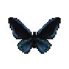 Butterfly-dead-ornithopterapriamusmiokensismale.png