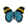 Butterfly-dead-goldbandedforester.png