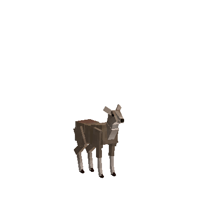 File:Deer-guemal-male-baby.png