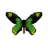 File:Butterfly-dead-queenvictoriasbirdwingmale.png