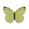 File:Butterfly-dead-lemonemigrantalcmeoneformmale.png