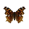 Butterfly-dead-falsecomma.png