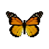 File:Butterfly-dead-monarch.png