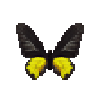 File:Butterfly-dead-goldenbirdwingmale.png