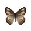 File:Butterfly-dead-chocolatealbatrosswetseasonfemale.png