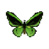 File:Butterfly-dead-commongreenbirdwingmale.png