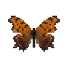 Butterfly-dead-easterncommasummerform.png