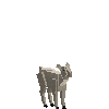 File:Creature-goat-mountain-male-baby.png