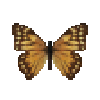 Butterfly-dead-aegamorphobrownfemale.png