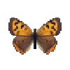 Butterfly-dead-smallcoppermale.png