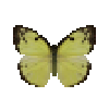 File:Butterfly-dead-lemonemigrantfemale.png