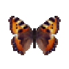 File:Butterfly-dead-smalltortoiseshell.png