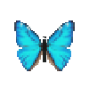 Butterfly-dead-aegamorphomale.png