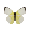 Butterfly-dead-lemonemigranthilariaformmale.png