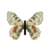 Butterfly-dead-cardinalapollofemale.png