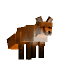 Foxes(Female).gif