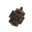 Treeseed-redwood.png