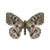 Butterfly-dead-mountainapollofemale.png