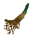 Cattailroot.png