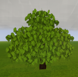 Fruit-Tree-Stage-3.2.PNG