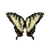 Butterfly-dead-easterntigerswallowtailmale.png