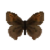 Butterfly-dead-meadowbrownmale.png