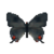 Butterfly-dead-grayhairstreak.png