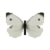 Butterfly-dead-smallwhitemale.png