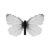 Butterfly-dead-arcticwhitemale.png