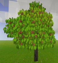 Персиковое дерево со спелыми плодами