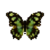 Butterfly-dead-malachitebutterfly.png
