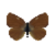 Butterfly-dead-greenhairstreakmale.png