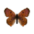 Butterfly-dead-purplishcoppermale.png