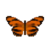 Butterfly-dead-orangetiger.png