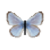 Butterfly-dead-silverybluemale.png