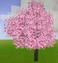 Flowering Peach Tree