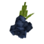 Fruit-blueberry.png