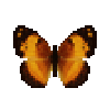 Butterfly-dead-borderedrusticfemale.png