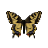 Butterfly-dead-commonyellowswallowtailmale.png