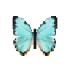 Butterfly-dead-morphoportis.png