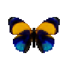 Butterfly-dead-dottedglory.png