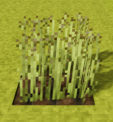 File:Flax-fully-grown-crop.png