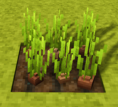 File:Onion-fully-grown-crop.png