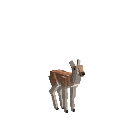 File:Deer-whitetail-male-baby.png