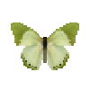 Butterfly-dead-commongreencharaxes.png