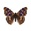Butterfly-dead-freyerspurpleemperormale.png
