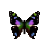 File:Butterfly-dead-purplespottedswallowtail.png