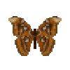 File:Butterfly-dead-atlasmothfemale.png